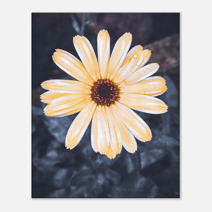 f94977ff-722e-461f-a2ba-ba92f5258e43