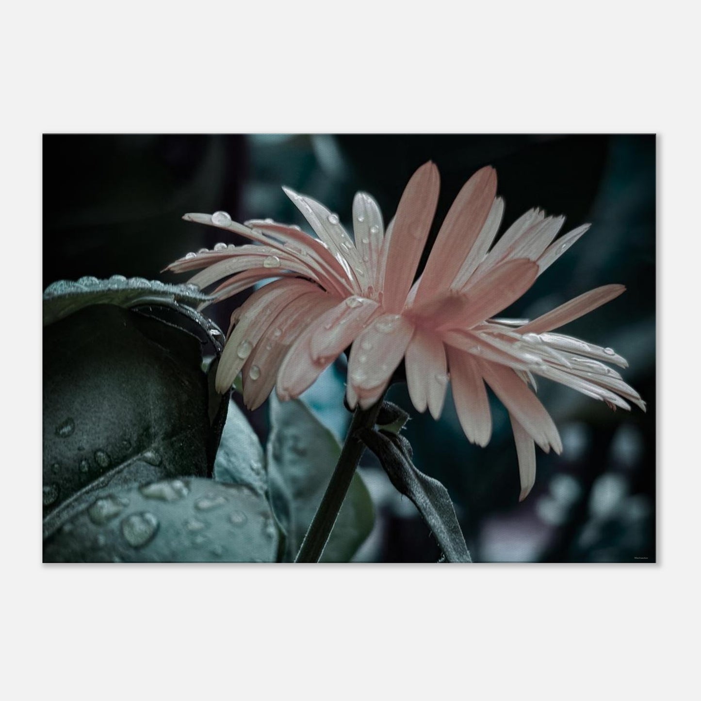 f960a50f-2571-4d10-aada-27c33fa91b1f