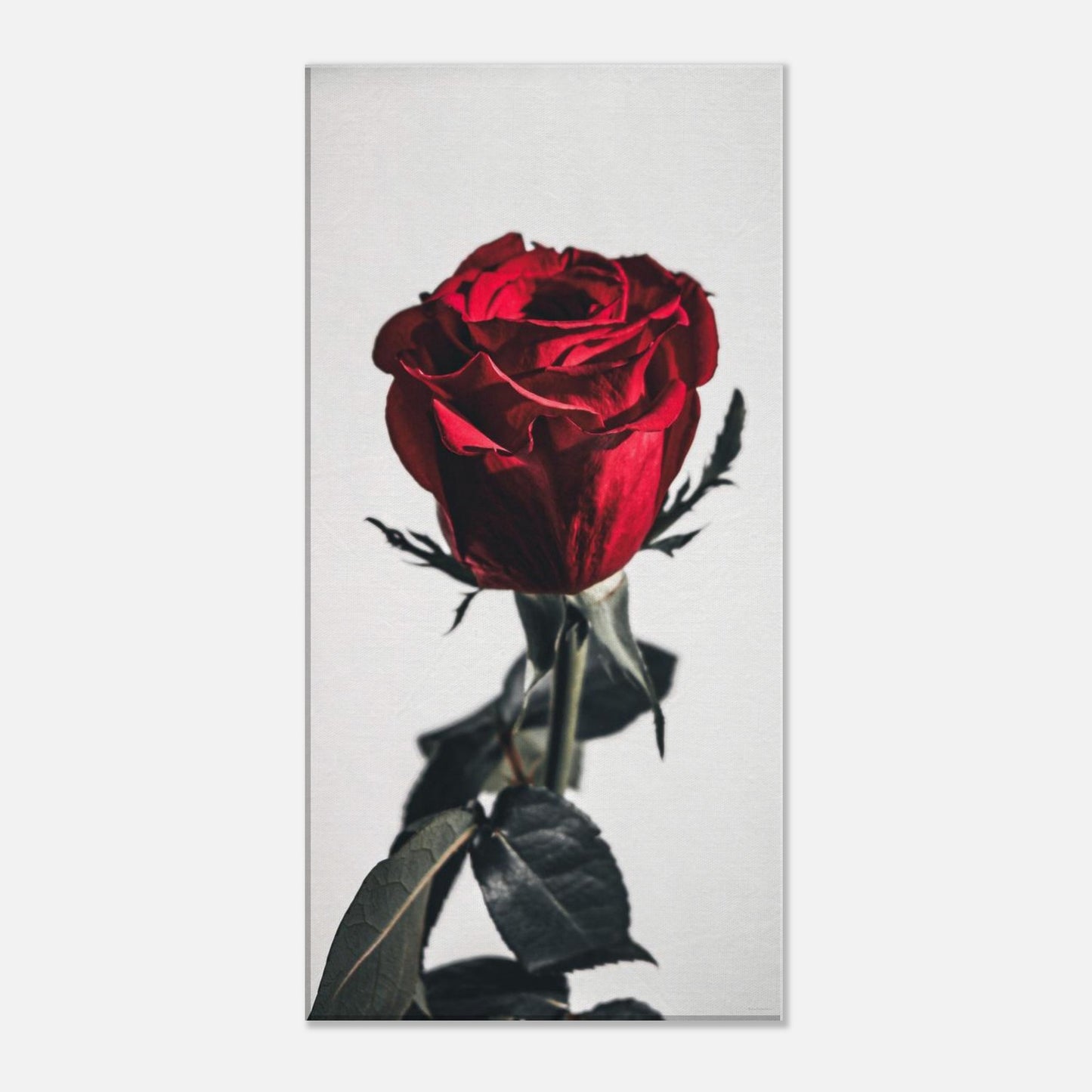 f99f75b4-d838-4e78-b2be-8c7a6e4a838c