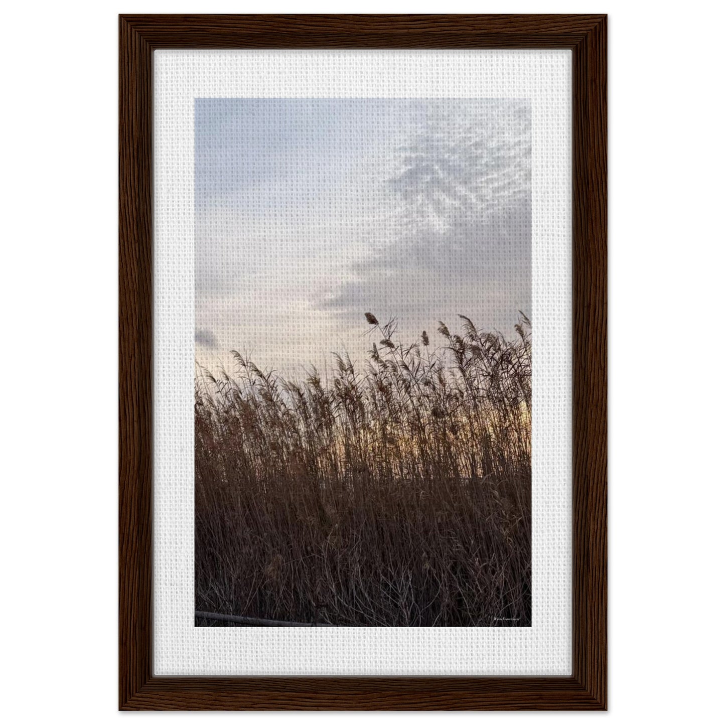 f9c8ae8a-d1e1-443e-999a-e5fe17ffb935