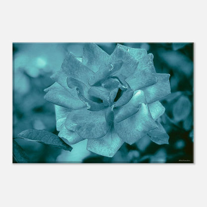 f9de4ba4-cea5-4d3d-8a76-bd0ef66cc6cc