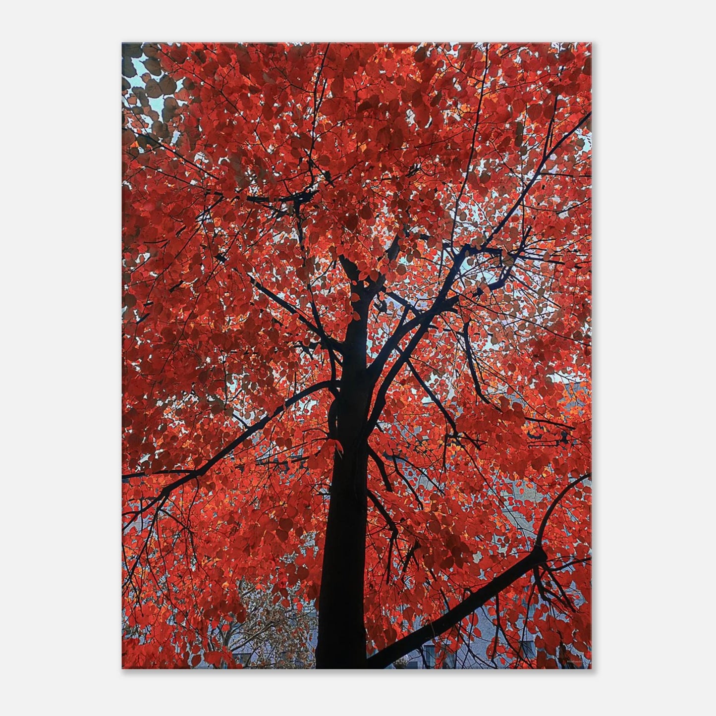 fa371a83-ee9e-433b-aa48-3f9b0bedc064