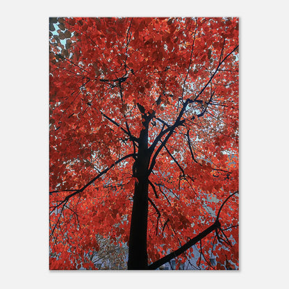 fa371a83-ee9e-433b-aa48-3f9b0bedc064