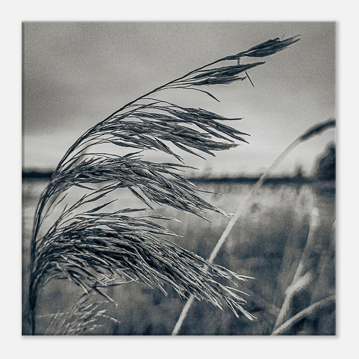 fa6991b0-16f8-4140-b374-4e574ee6b376