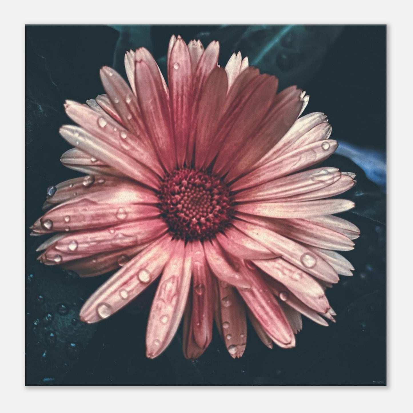 fa6a2a56-8a78-41ce-a211-bd8b68647b84