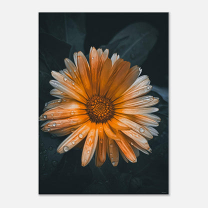 fa7afbd4-8b9f-4f38-b3db-fd0386383c8b