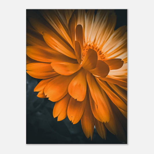 fa83b992-202a-4636-83be-67cf776fa0ad