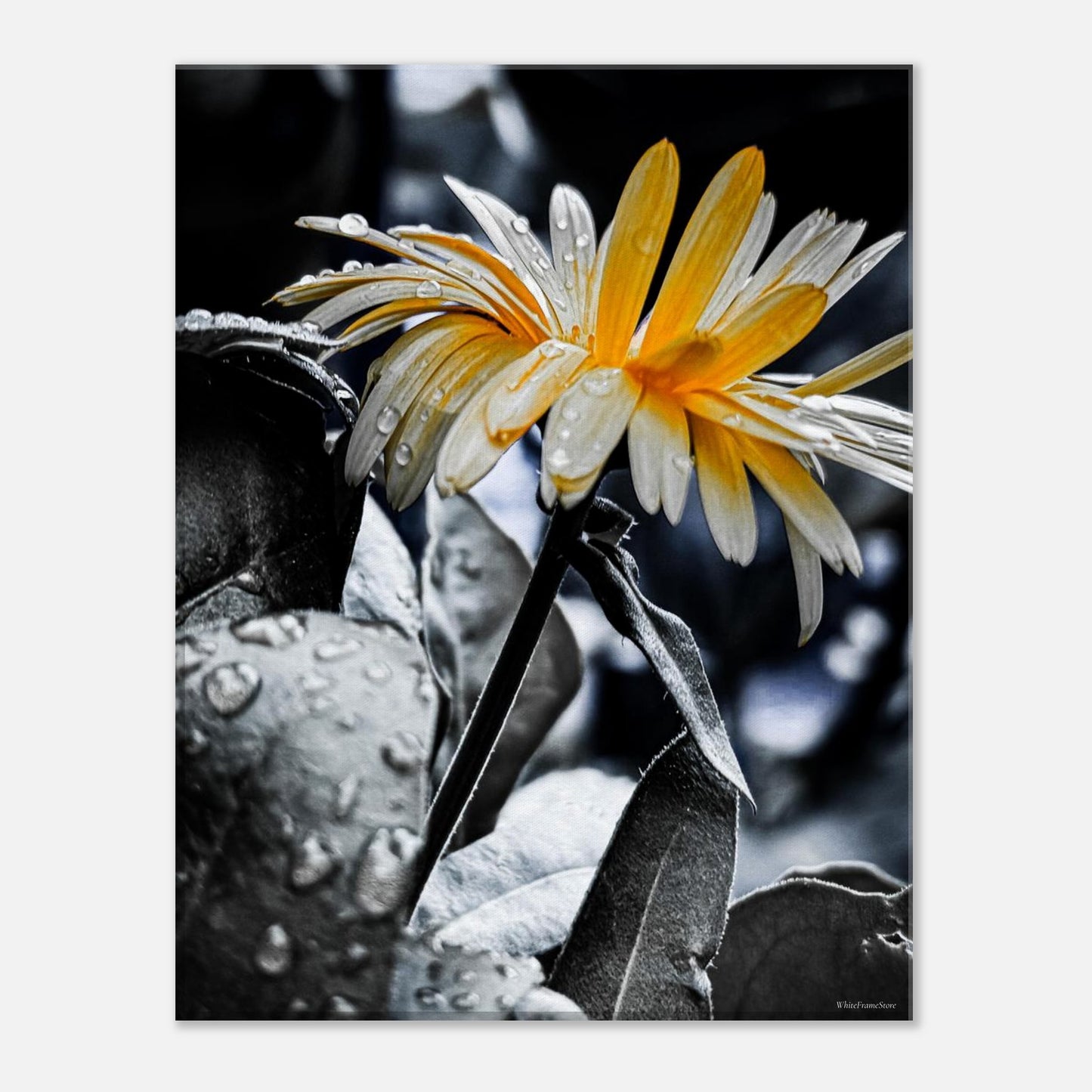 fa945978-e2b3-4708-8f77-e0582c5d1b9a