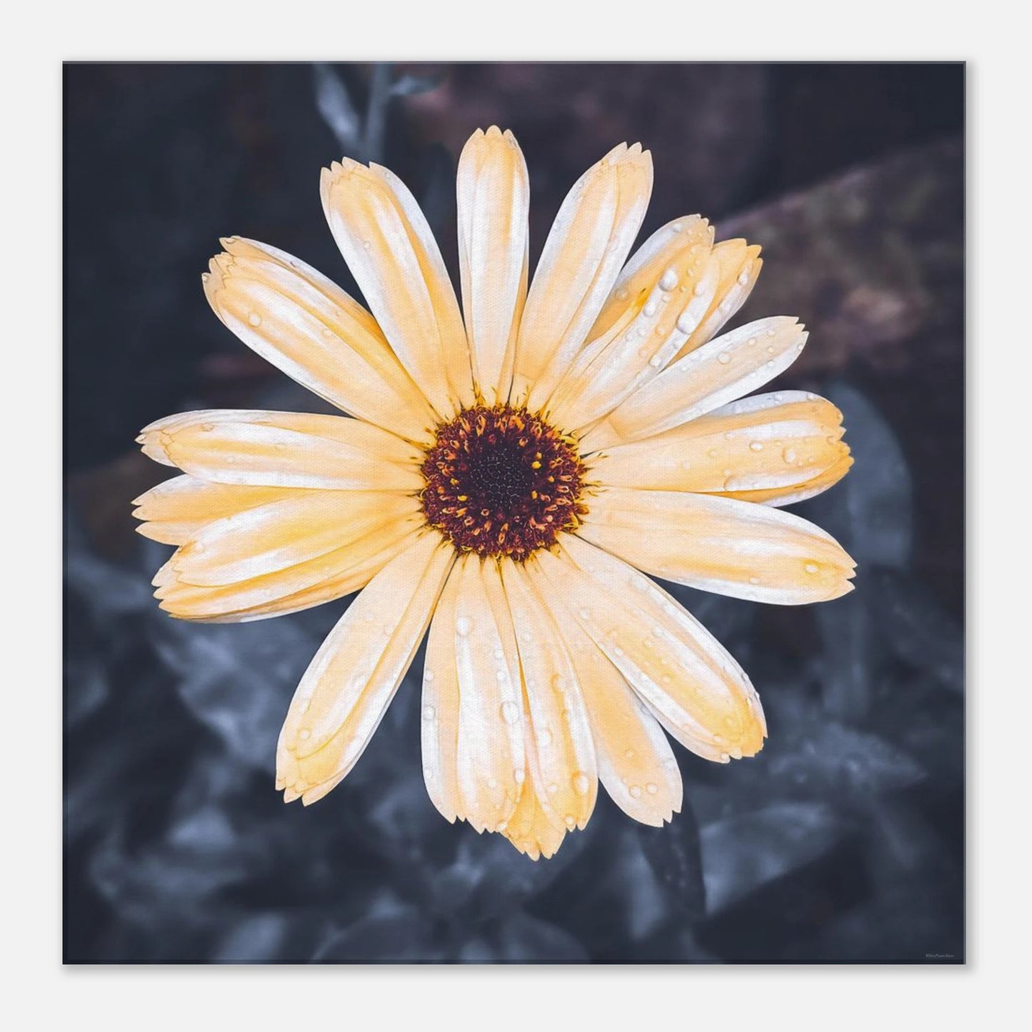 faaeb248-68c1-4a09-ba55-f06d7793ae57