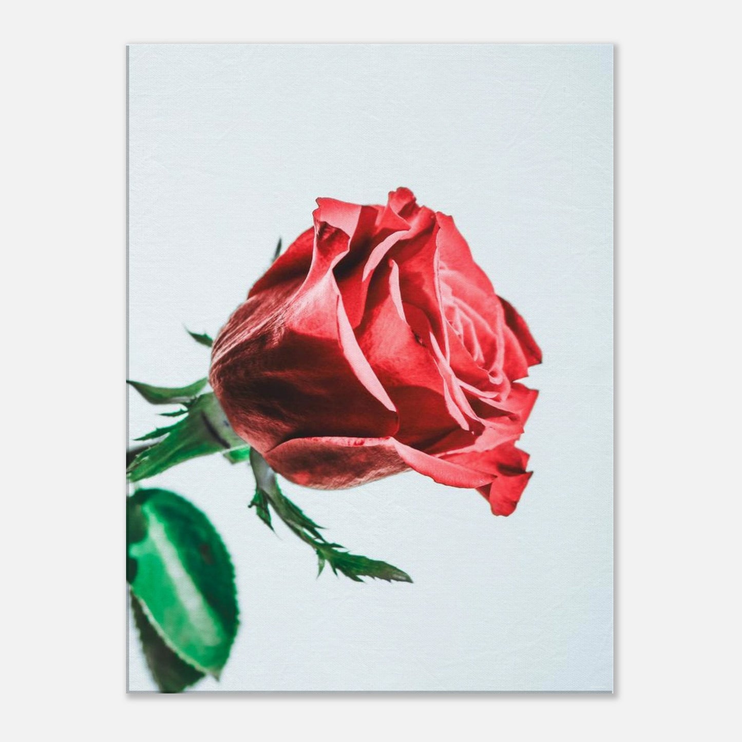 fac02719-bdd2-495f-a655-9aab3998e7cf