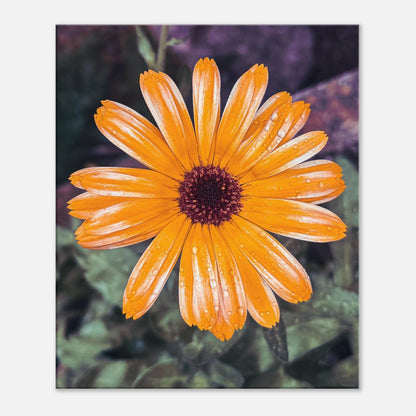 fac4314e-af2a-49ef-9401-2ae6d00fce92