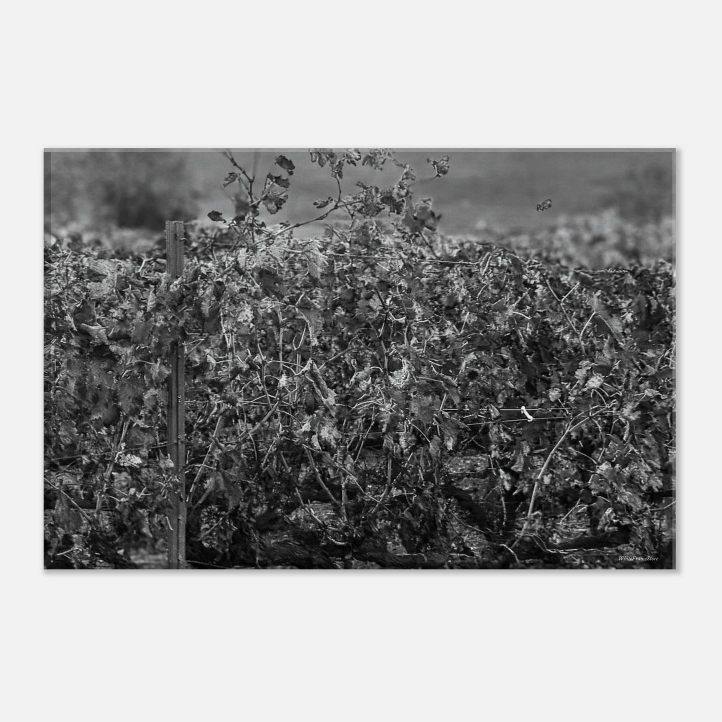 facc578f-4fbd-44d0-89f1-7f7a3666f78e