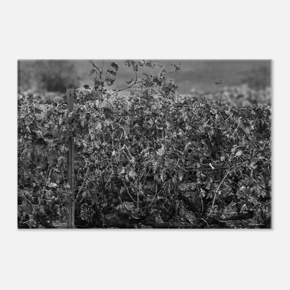 facc578f-4fbd-44d0-89f1-7f7a3666f78e