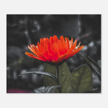 faeb01bc-c634-4cab-b3ac-41b89b2cfef3