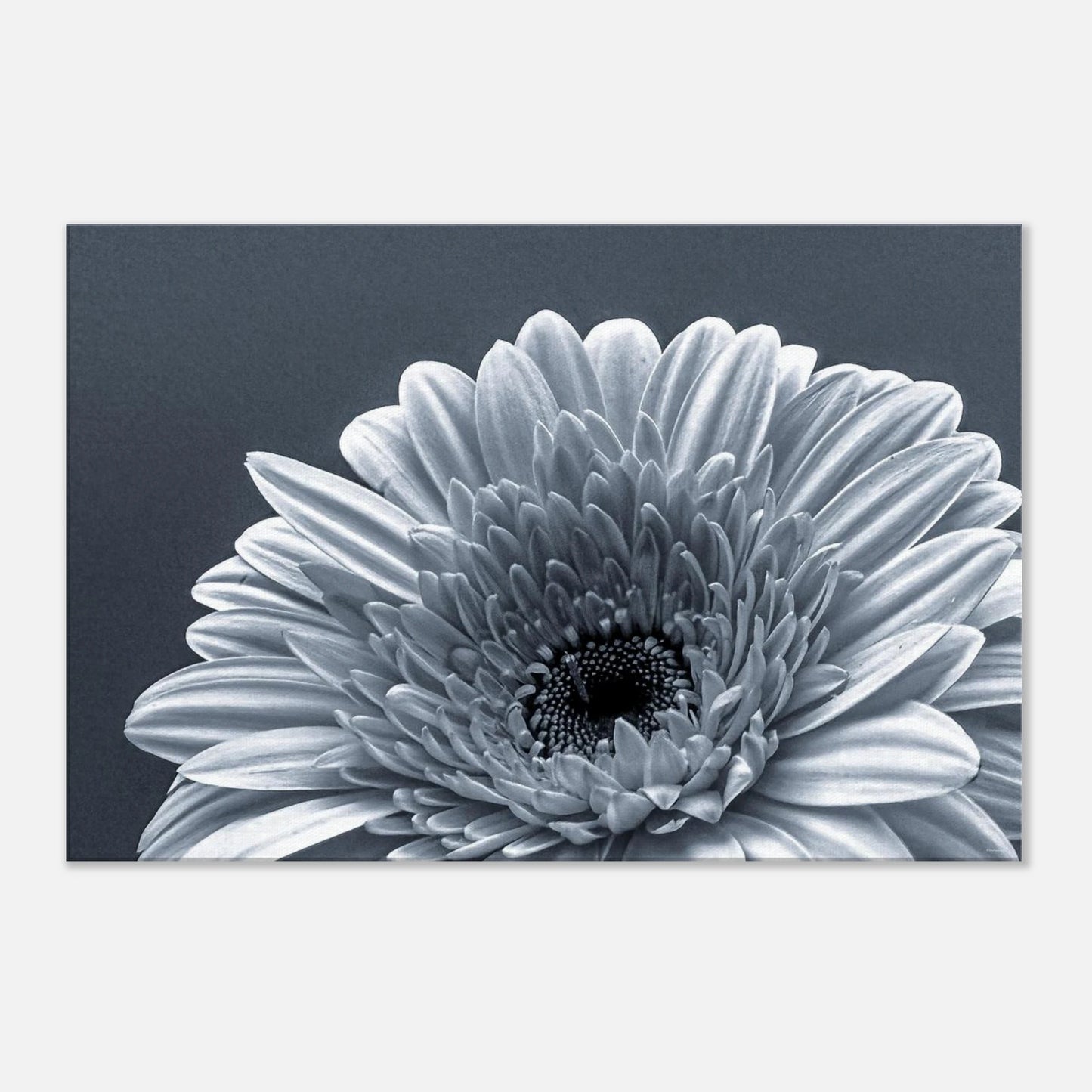 faf744c0-30ce-49c0-95f1-8605a062ffd9