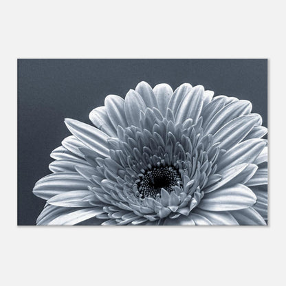 faf744c0-30ce-49c0-95f1-8605a062ffd9