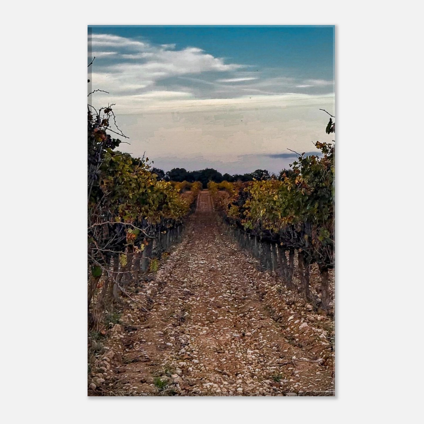 fb1079c0-de57-4d32-8cae-f52965240213