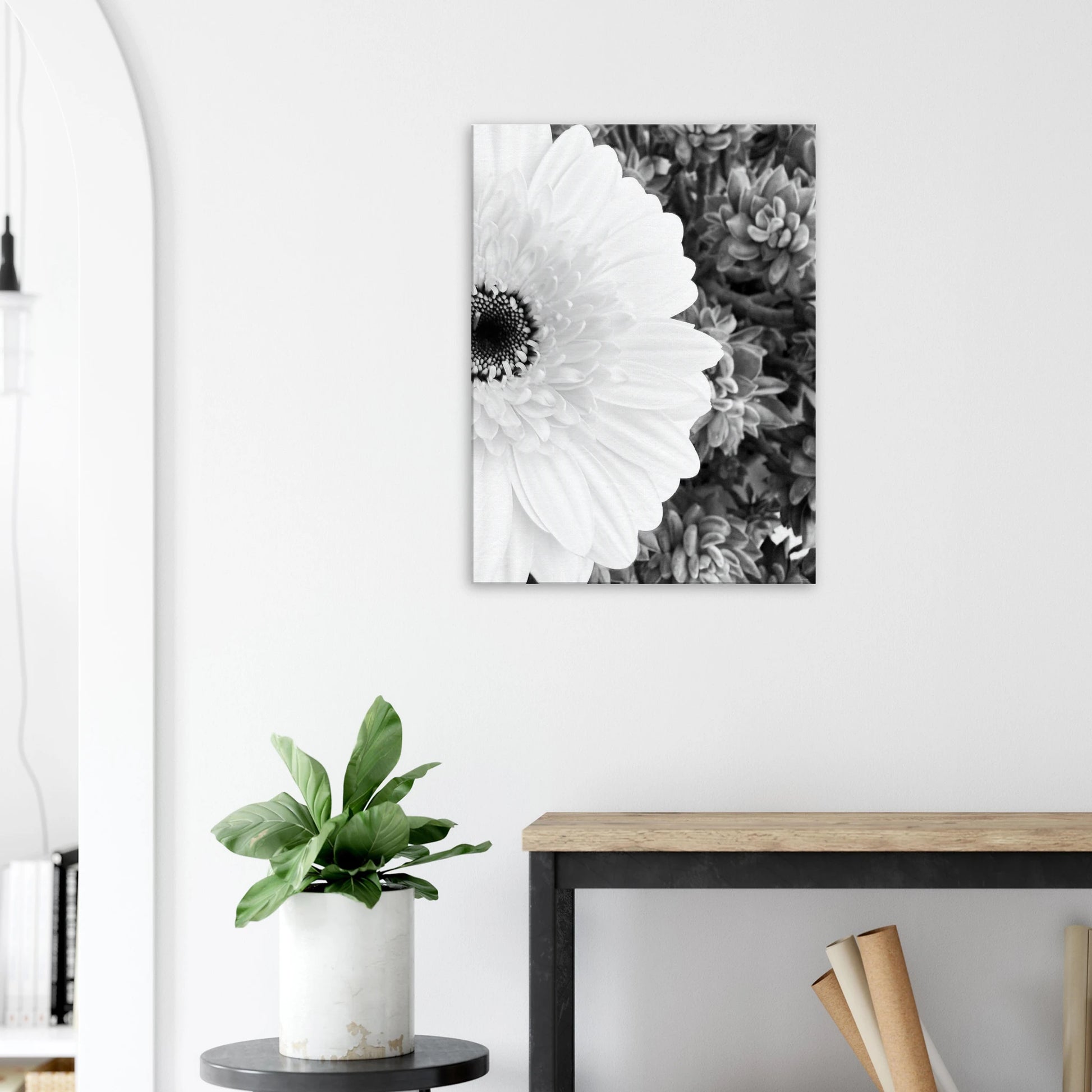 fb295425-72ca-4daa-8763-d95c48af1256