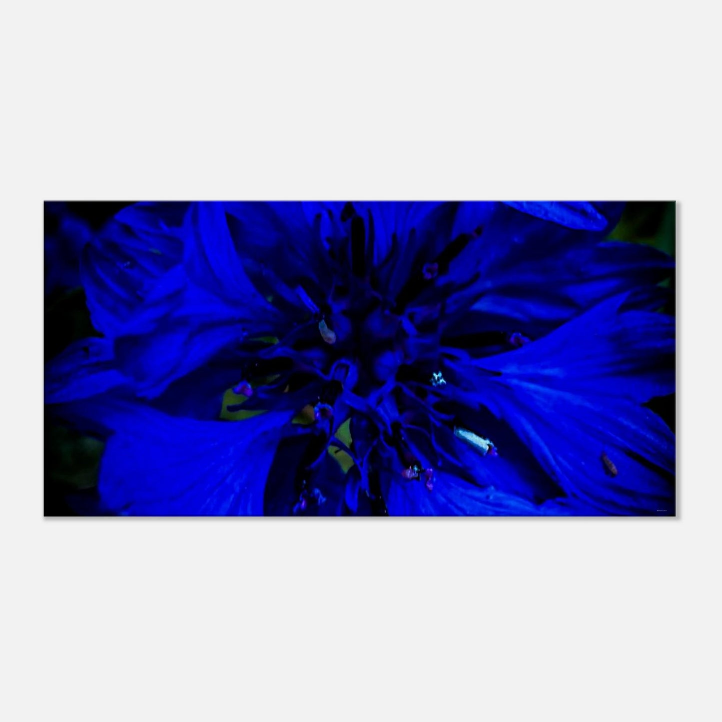 fb452c07-390e-41d2-98be-987c8d234024