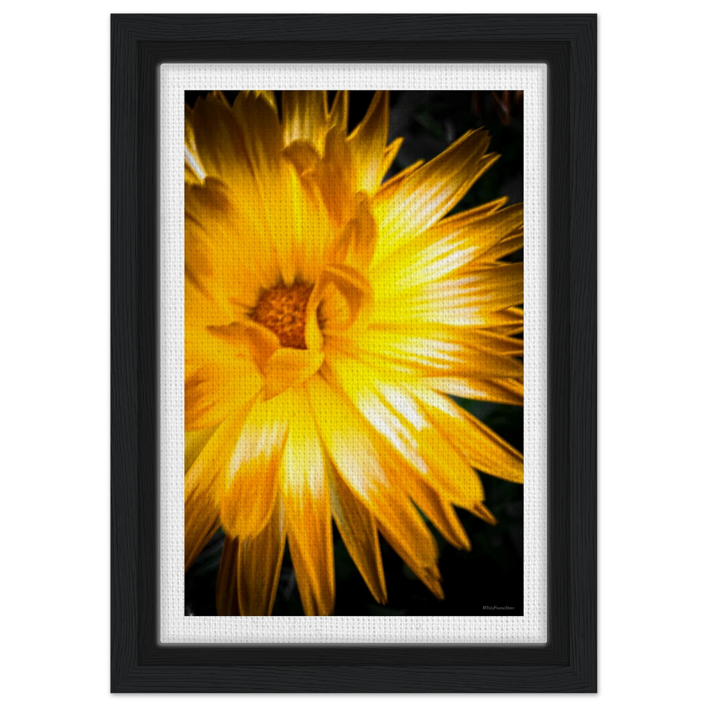 fb580f98-6f11-482f-8c04-7bc480c206ba