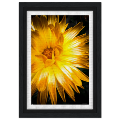 fb580f98-6f11-482f-8c04-7bc480c206ba