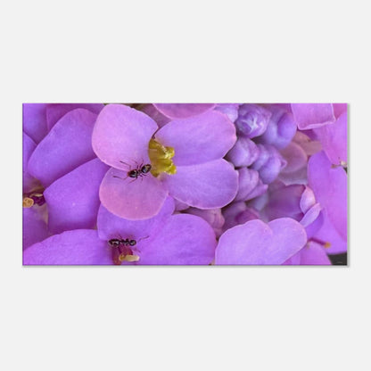 fb6f9714-219c-422a-bbe9-ed2aa52990d0