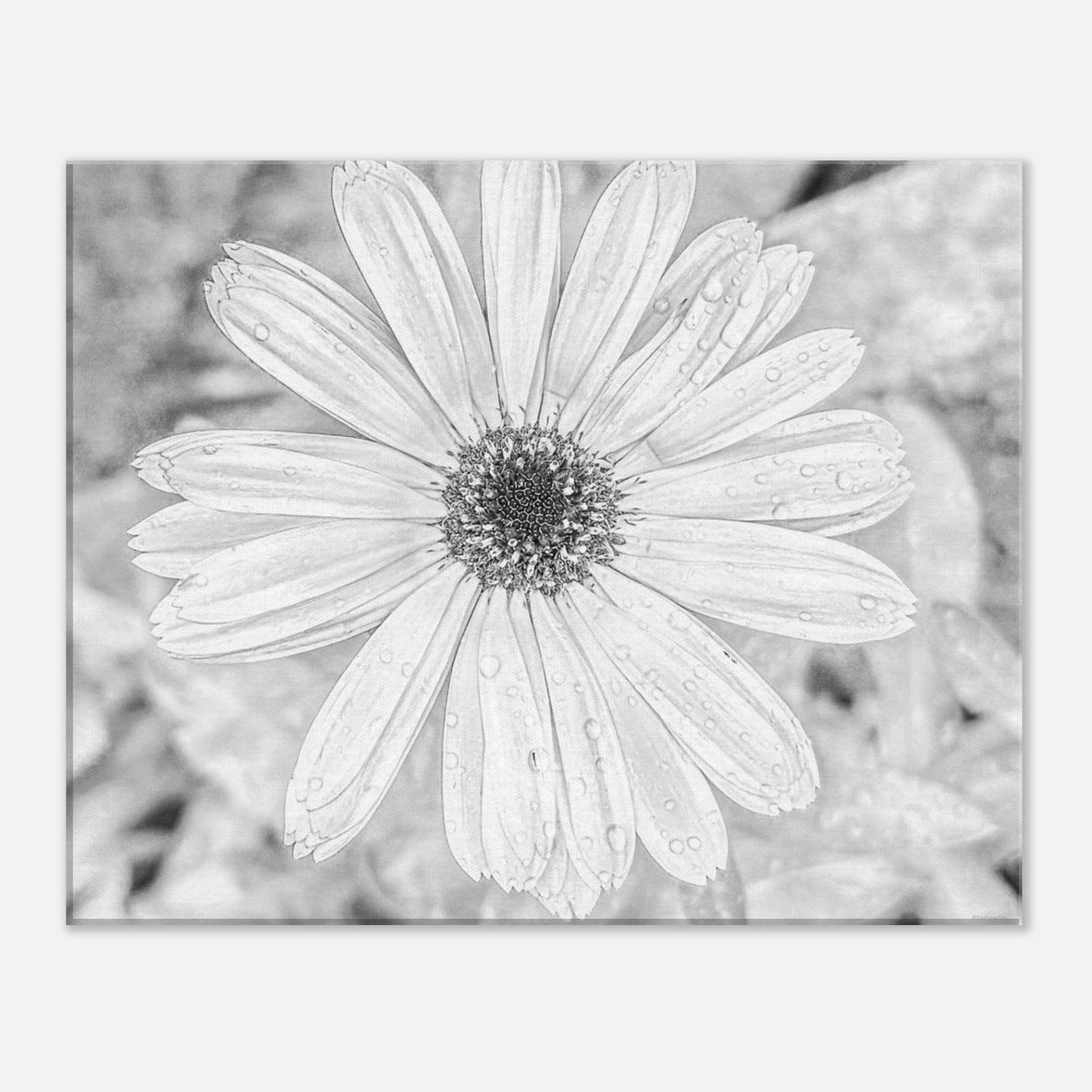 fb8822df-a557-4512-8f88-781543132bff