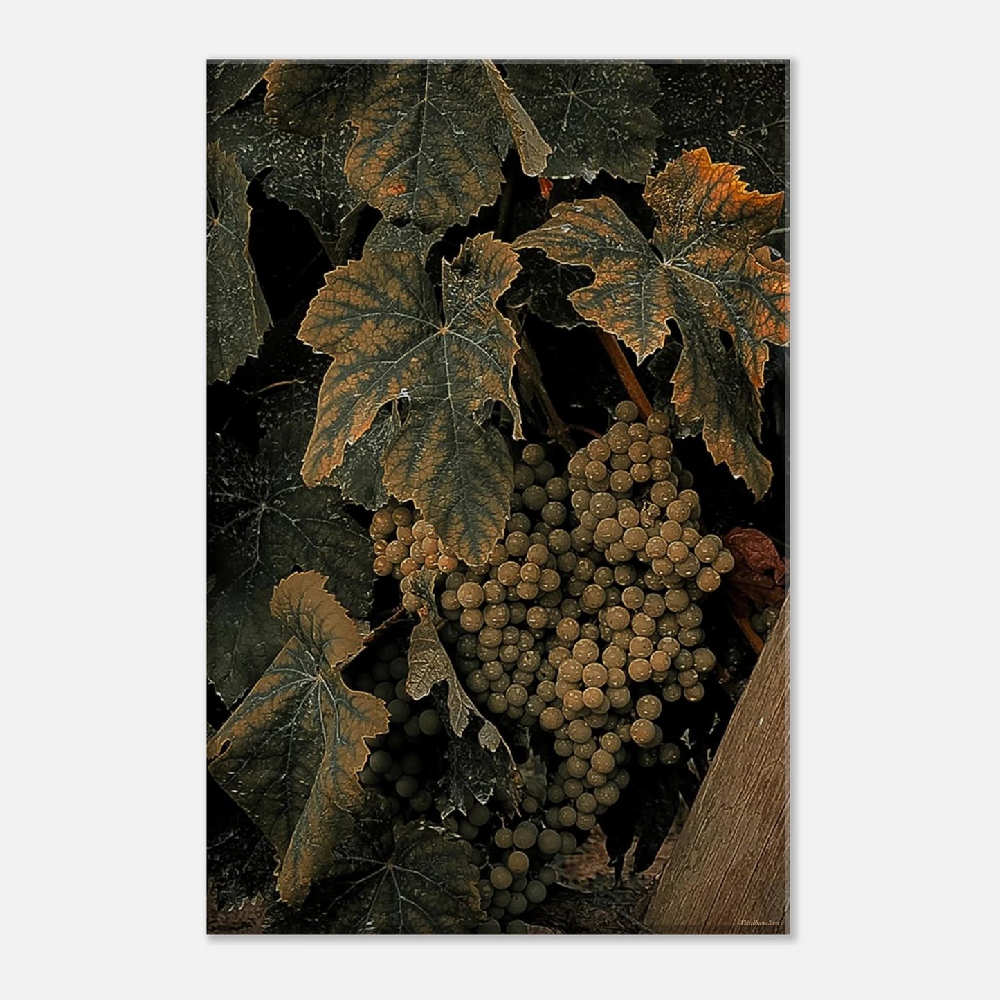 fb8b673c-2ca6-45a5-90e2-6999dfd37cc3