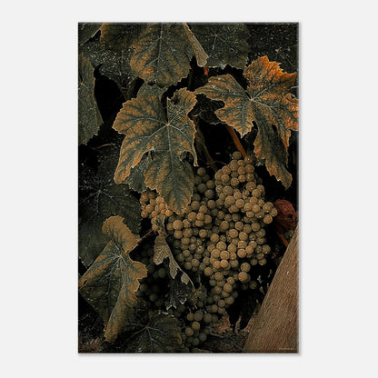 fb8b673c-2ca6-45a5-90e2-6999dfd37cc3