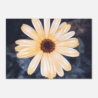 fbab8962-a30c-4759-b7a5-a394a6826016