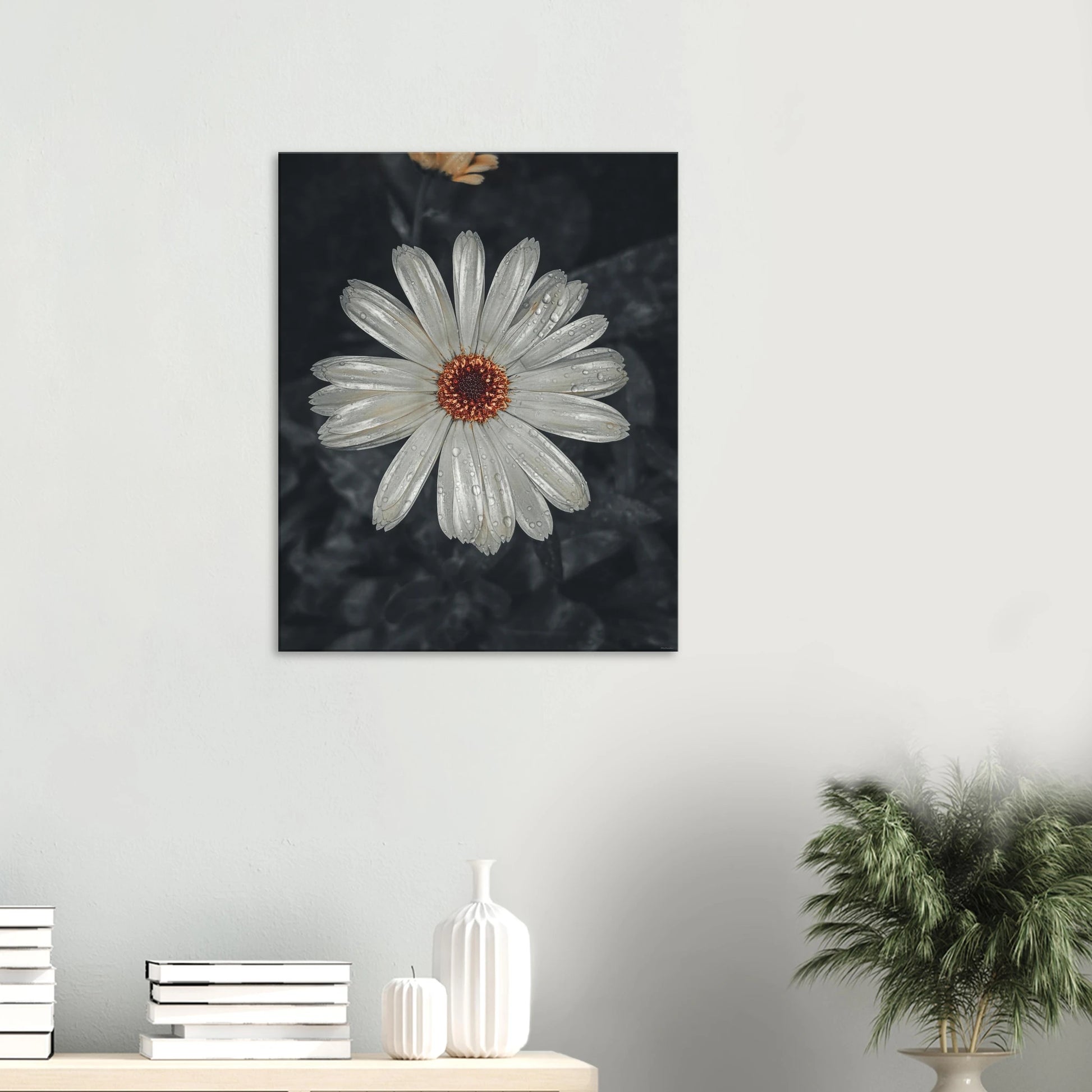 fbb79056-c982-4c5a-b5ae-4fdb255c1b48