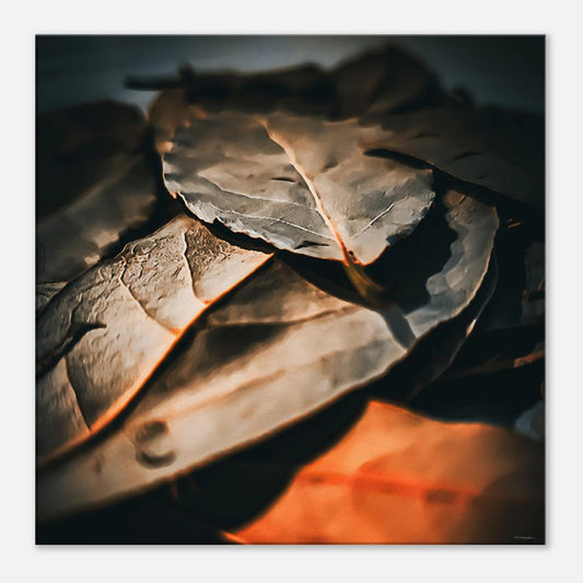 fbd1566b-6fcb-4fe3-a808-7c4e8353eae9