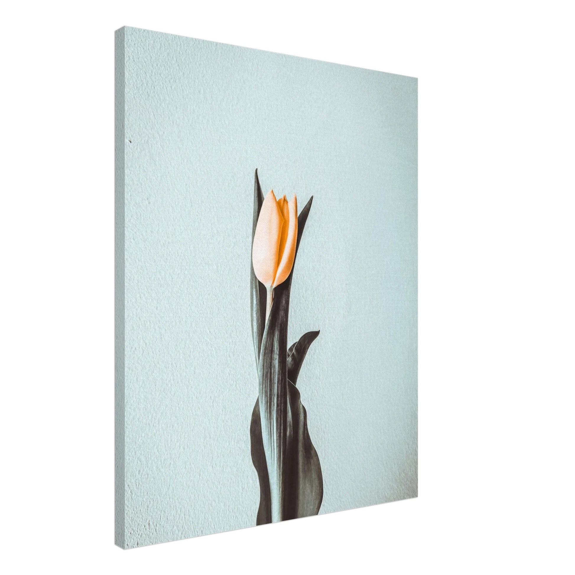 fc1bb777-b12d-4dcb-a7ce-a93f9ecd03c4