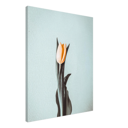 fc1bb777-b12d-4dcb-a7ce-a93f9ecd03c4