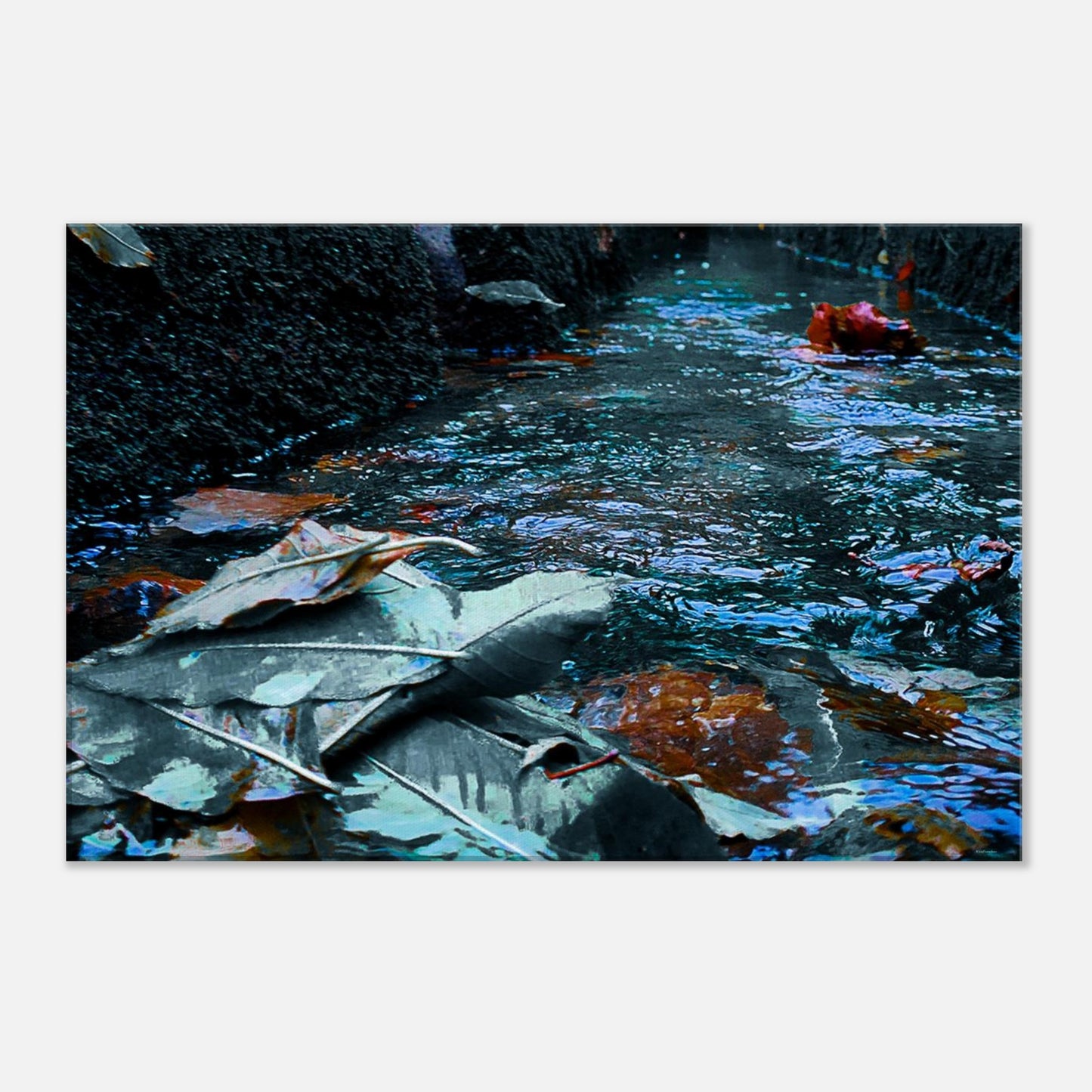 fc311874-396c-42ef-9a0a-5e62fde29bc8