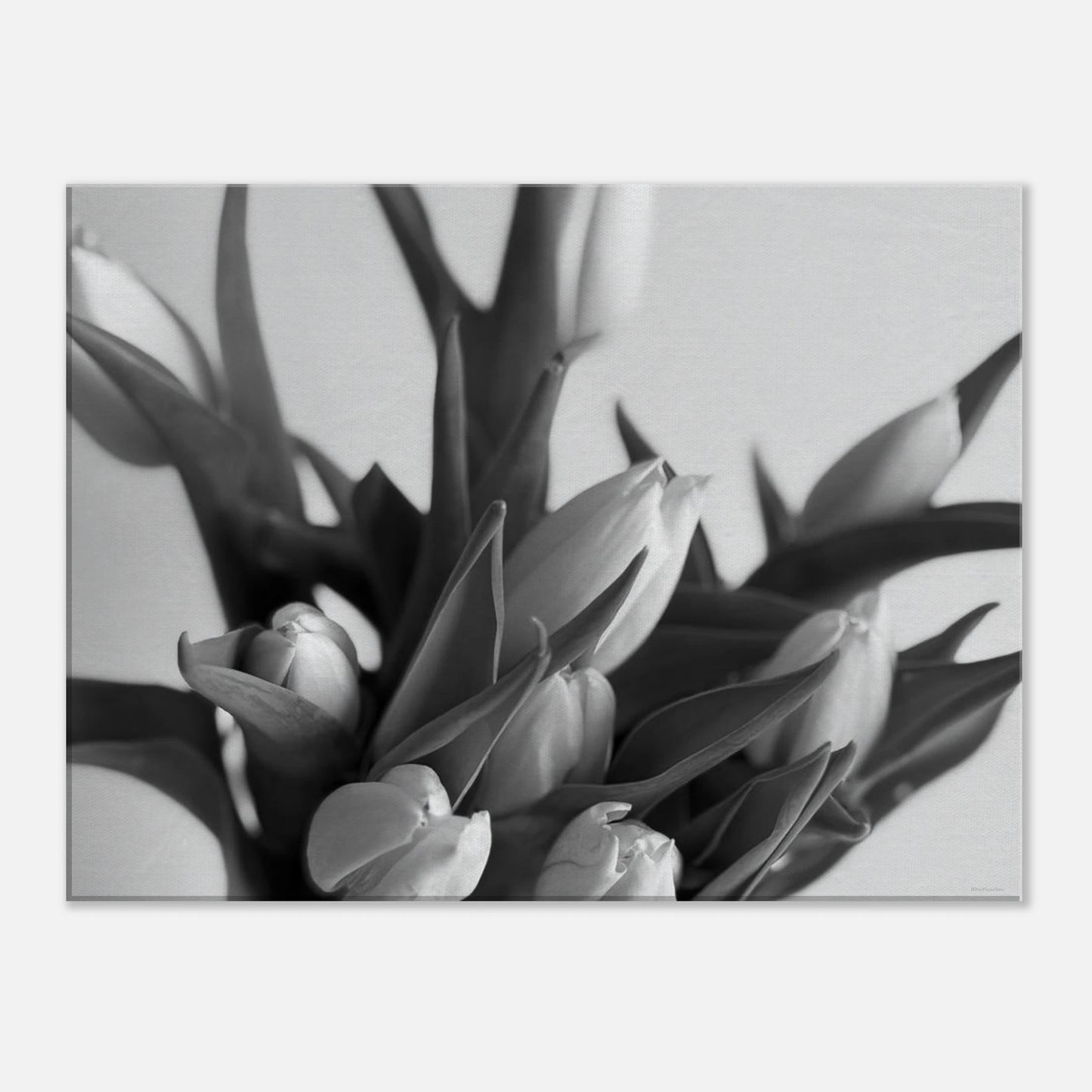 fc465fc8-d3a9-49d8-b95d-b9a655b5ab9f