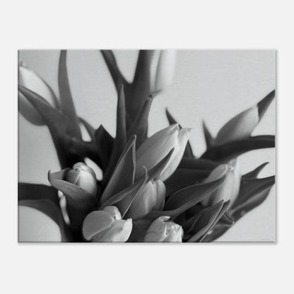 fc465fc8-d3a9-49d8-b95d-b9a655b5ab9f