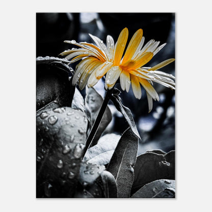 fc6998a9-92eb-4e76-a8ad-81ea96b759c5