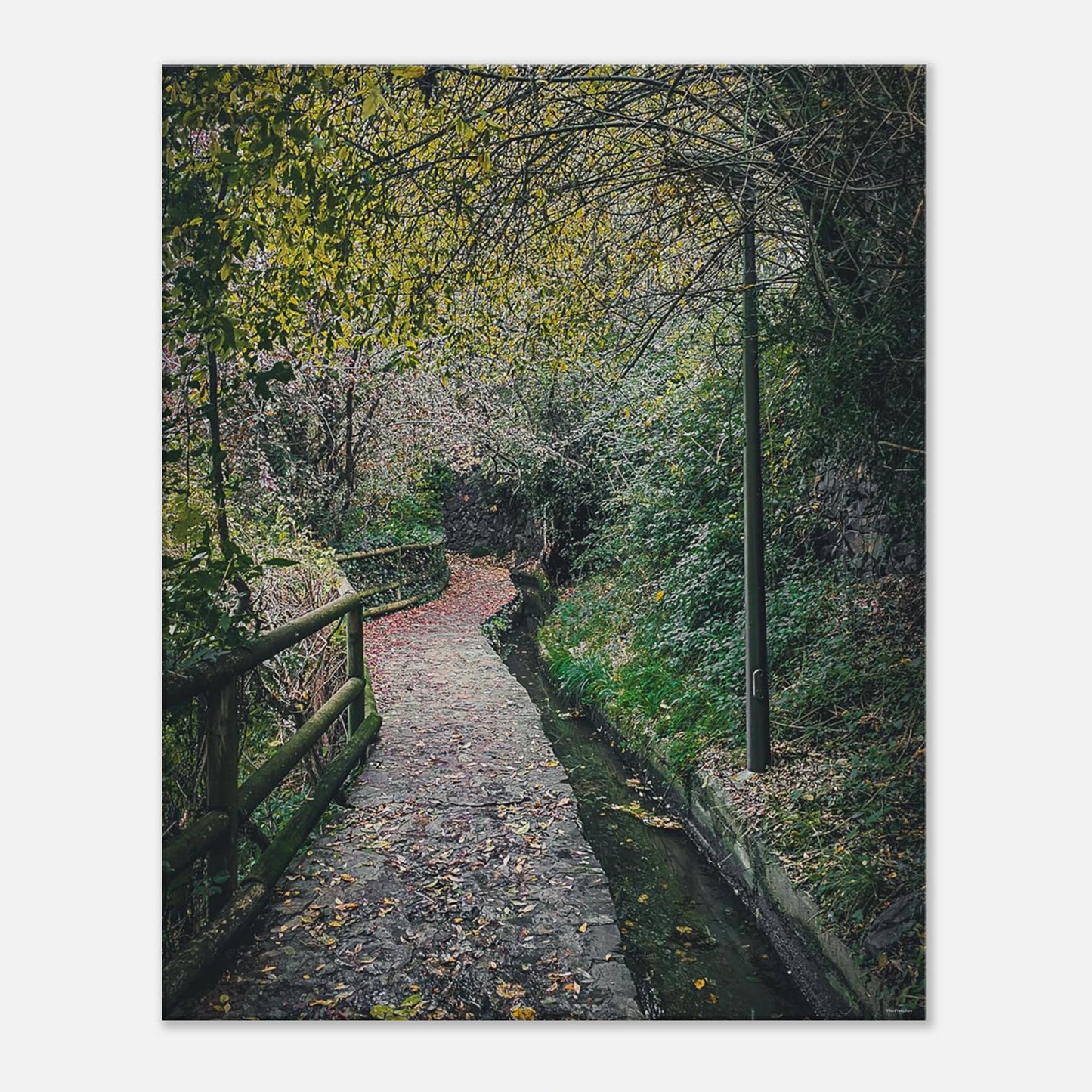 fc8ab5ec-b1b3-48e6-83cd-2ca350007d6f