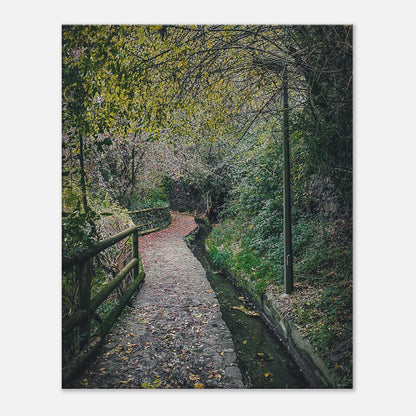 fc8ab5ec-b1b3-48e6-83cd-2ca350007d6f