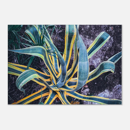 fca004bd-d6ef-4a25-9004-54e7af19c610