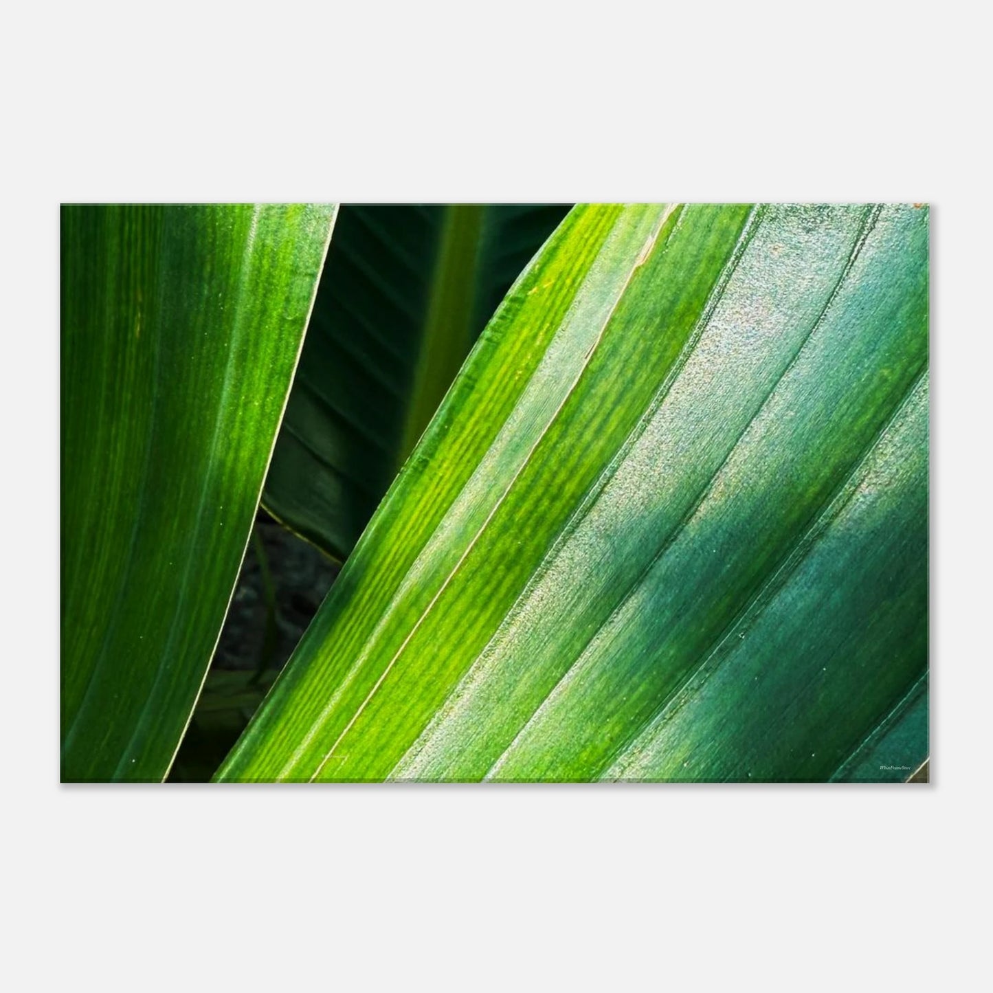 fccc9911-3dba-4841-b9d9-ba7ef31250dc