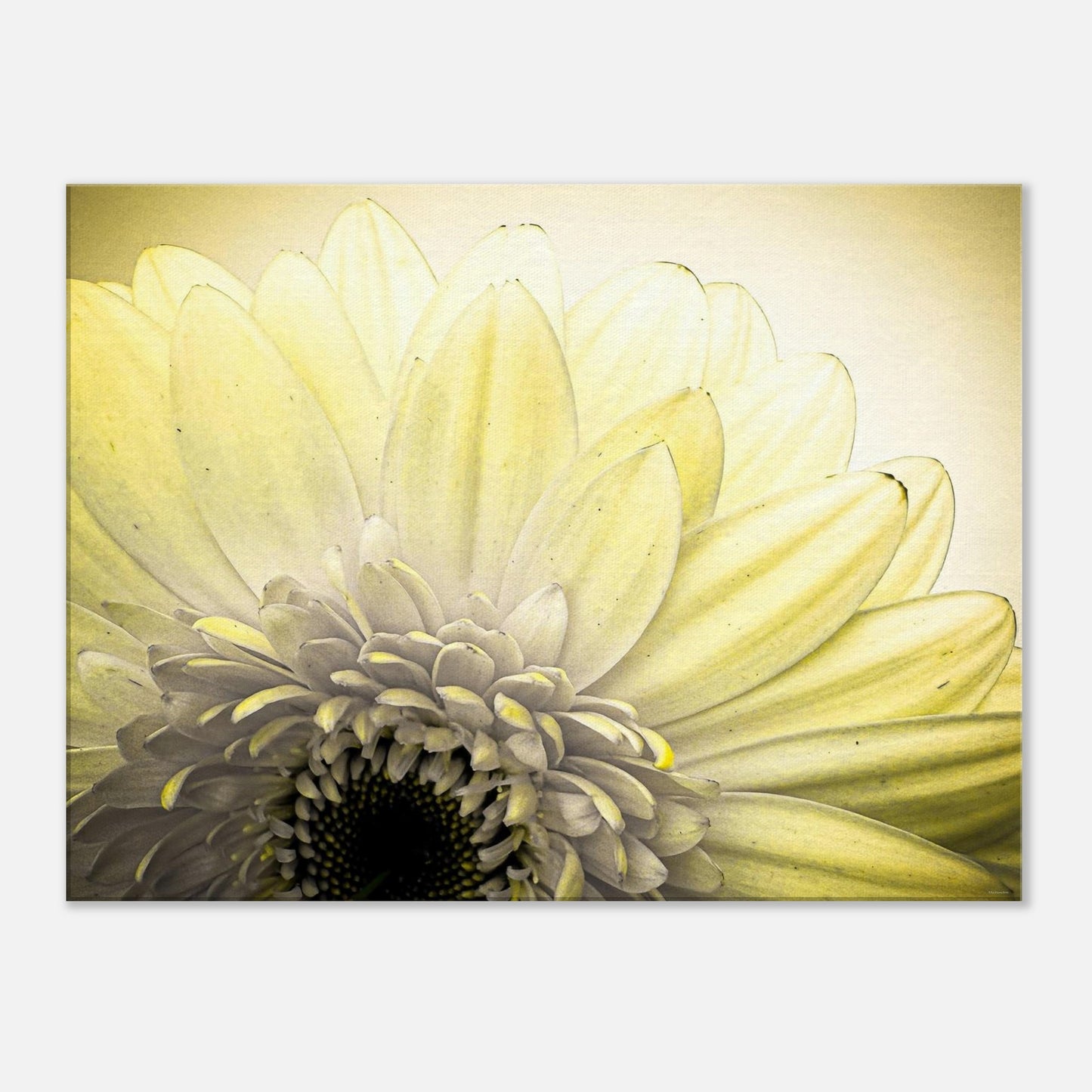 fcfd2249-ec54-4c62-a72c-3cbce079cead