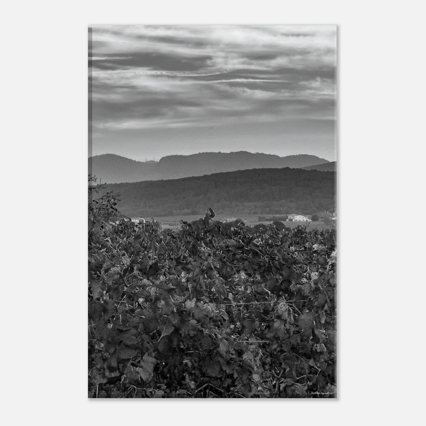 fd123ba1-7200-43fe-b6b4-0cdc6403b3c1