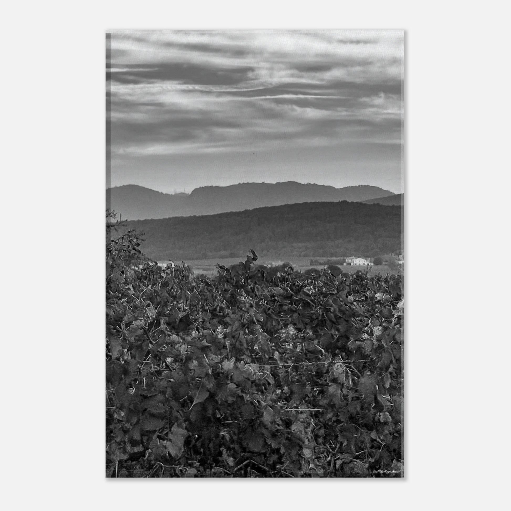 fd123ba1-7200-43fe-b6b4-0cdc6403b3c1