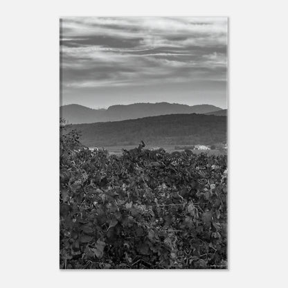 fd123ba1-7200-43fe-b6b4-0cdc6403b3c1