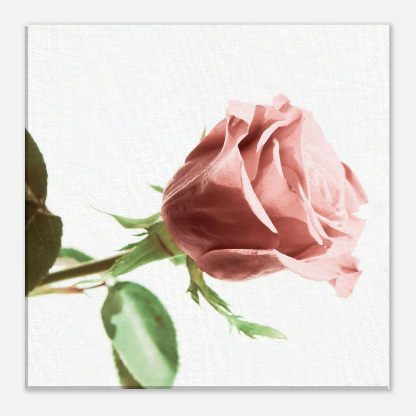 fd26af2e-aa8a-4a72-bb63-ebe3356825bb