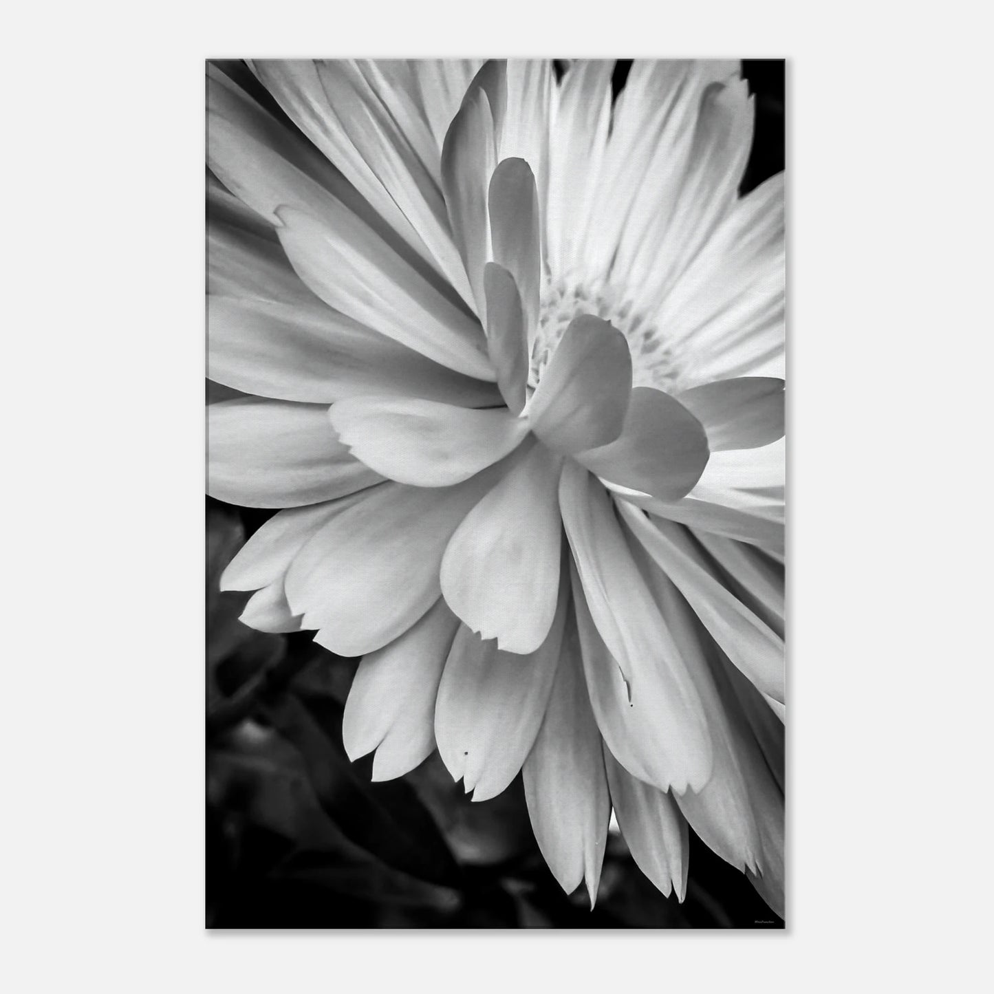 fd4d18ab-a383-4157-b175-33325374503e