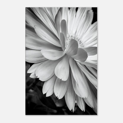 fd4d18ab-a383-4157-b175-33325374503e