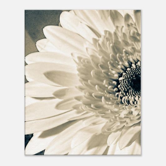 fd61baf5-b776-4d45-af56-4d848c9b7c2b